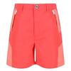 Sorcer II Bergshorts voor kinderen/Kinderen (Neon perzik/fusion koraal)