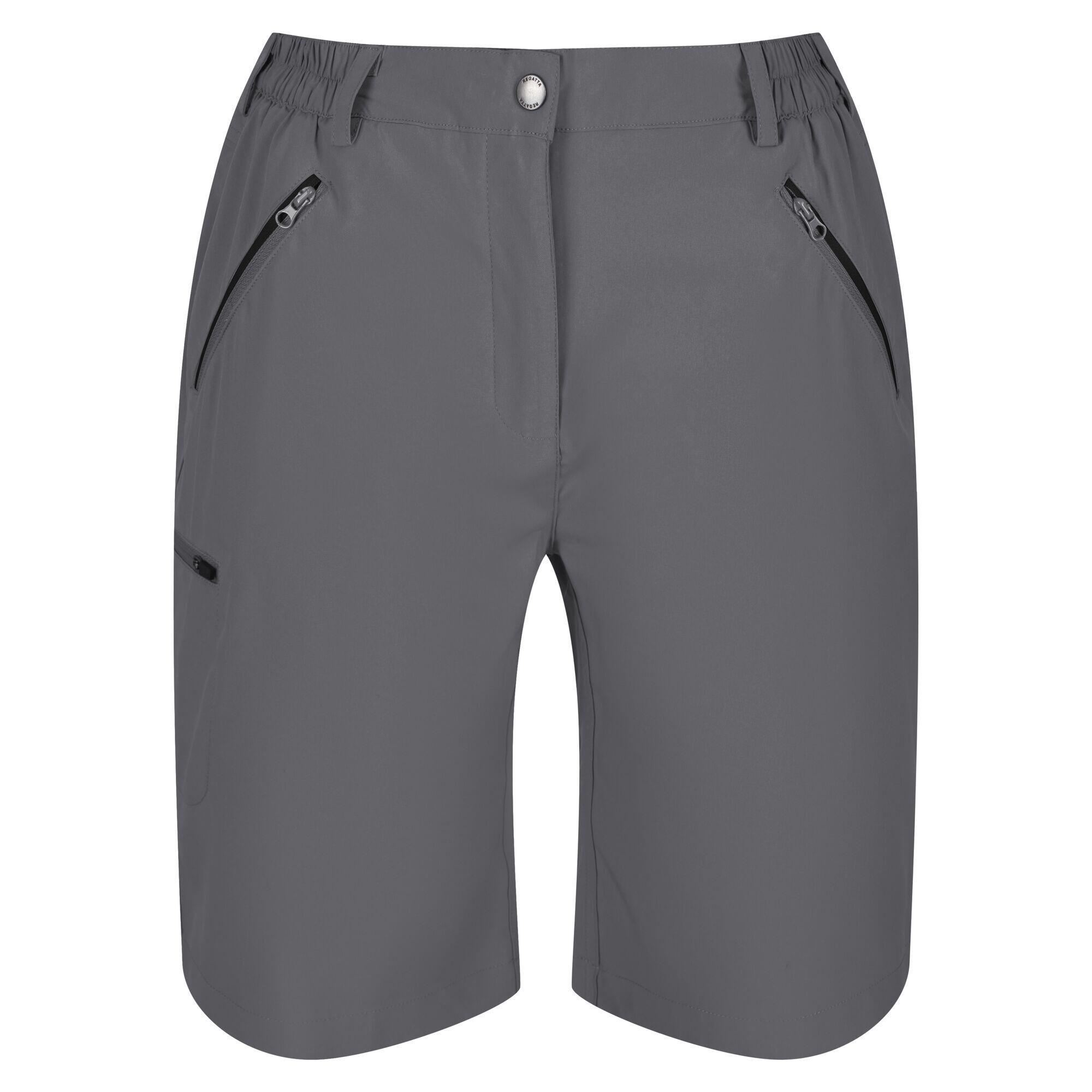 REGATTA Womens/Ladies Xert Stretch Shorts (Seal Grey)