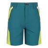 Sorcer II Bergshorts voor kinderen/Kinderen (Pacific groen/helder kiwi)