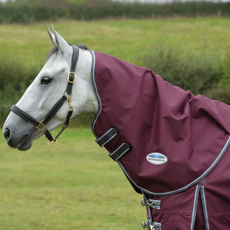 Couvrecou pour chevaux COMFITEC PLUS DYNAMIC MEDIUM (Bordeaux / Gris / Blanc)