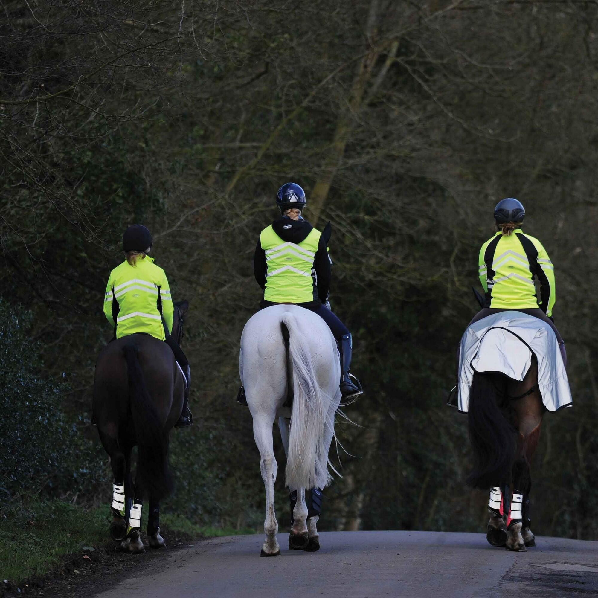 Exercise sheet for horses (Silver / Black)