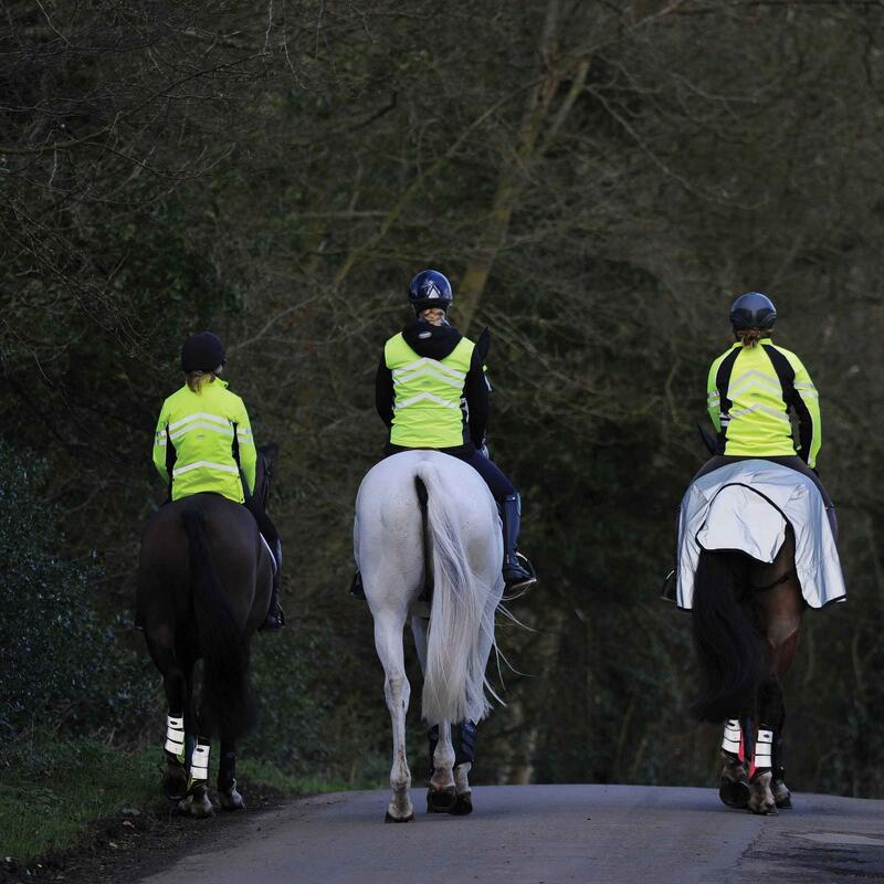 Reflektierend Trainingsplane für Pferde Damen und Herren Silber/Schwarz