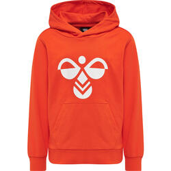 Sweatshirt à capuche enfant Hummel Cuatro