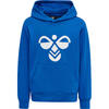 Kinder sweatshirt met capuchon Hummel Cuatro