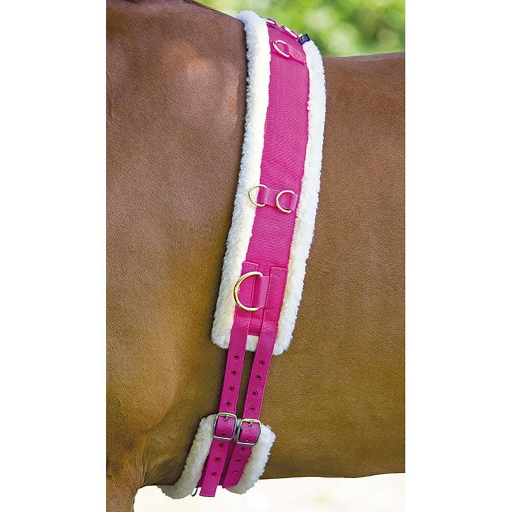 Fleece Padding Nylon Horse Lunging Roller (Raspberry) 3/4