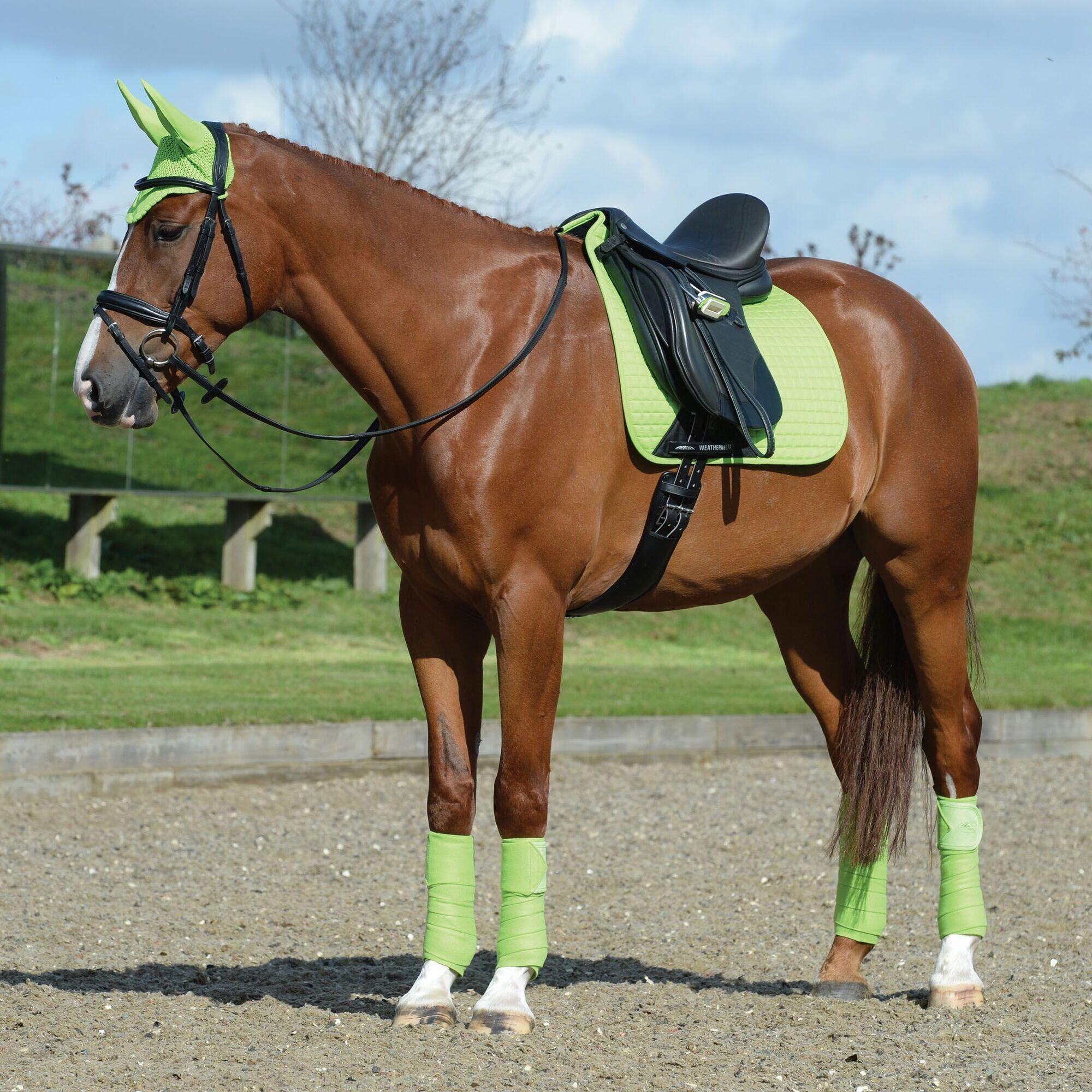 Prime Horse Dressage Saddlepad (Lime Green) 3/4