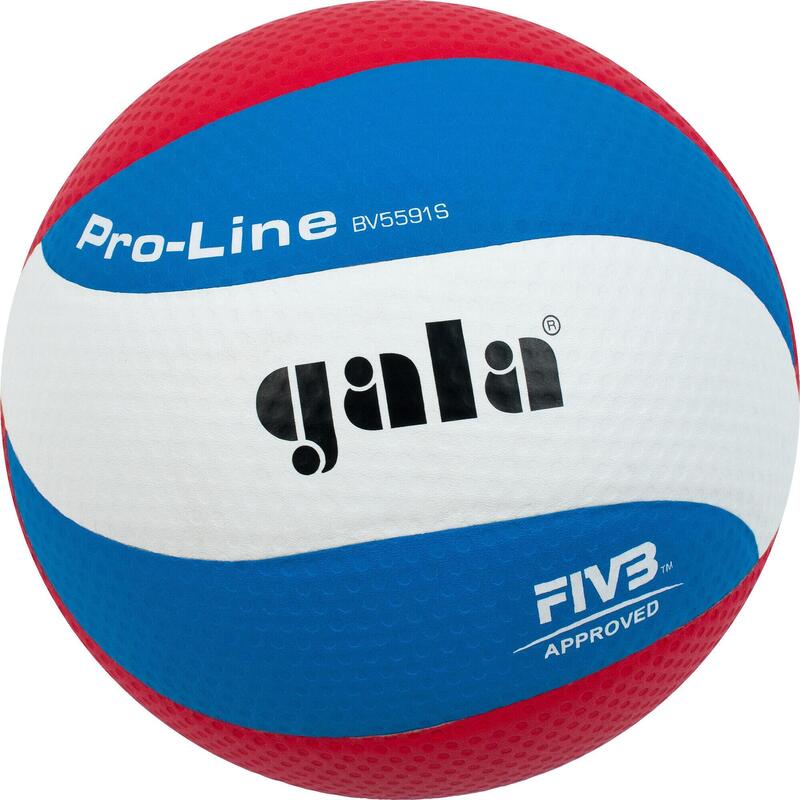 Volejbalový míč PRO-LINE GALA BV5591S
