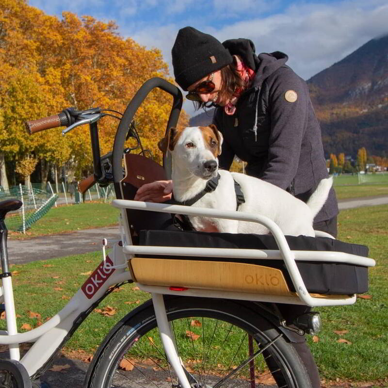 Vélo cargo compact électrique - Familéö 3 vitesses Blanc