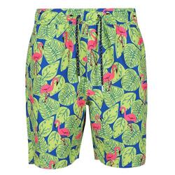 Heren Hamza Flamingo Zwemshorts (Heldere Kiwi)