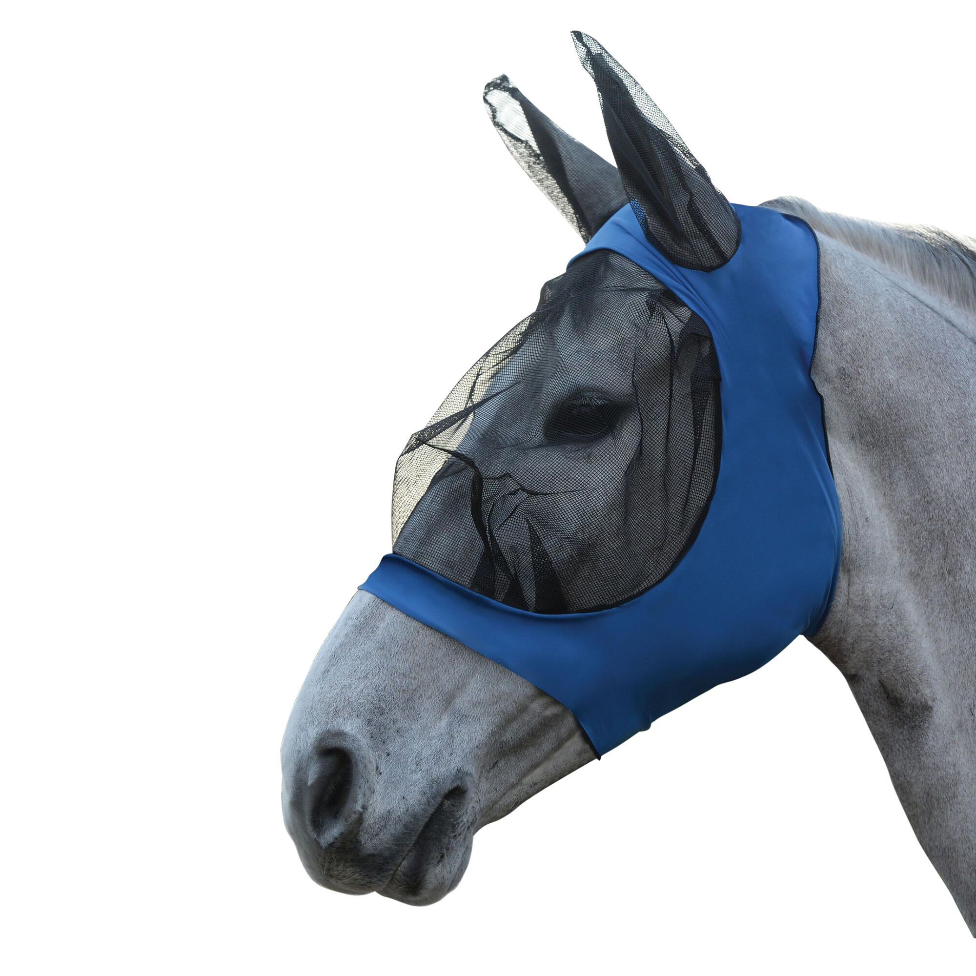 Eyecups for horses with ears (Royal blue / Black)