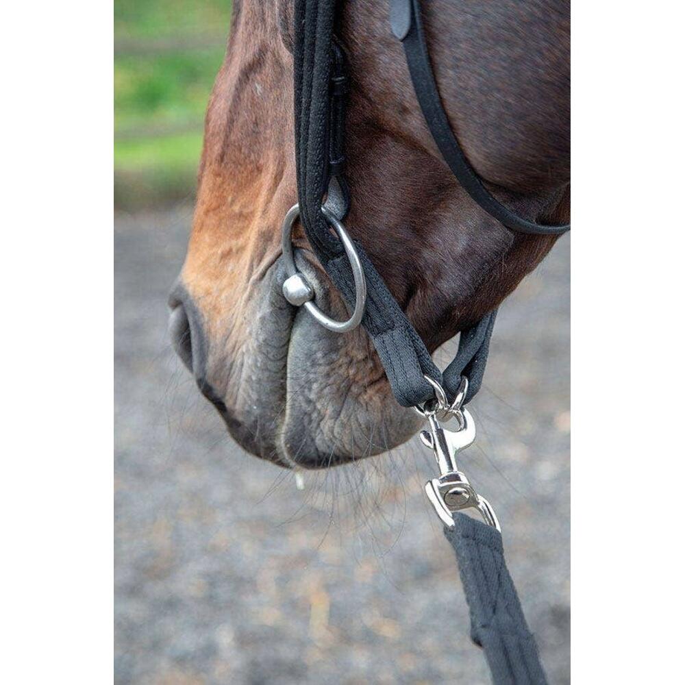 Leather Horse Lunging Adapter (Black) 3/4