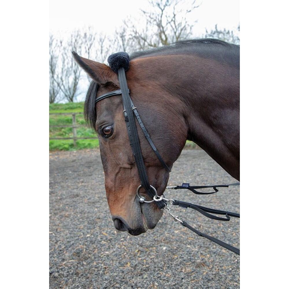 Leather Horse Lunging Adapter (Black) 4/4