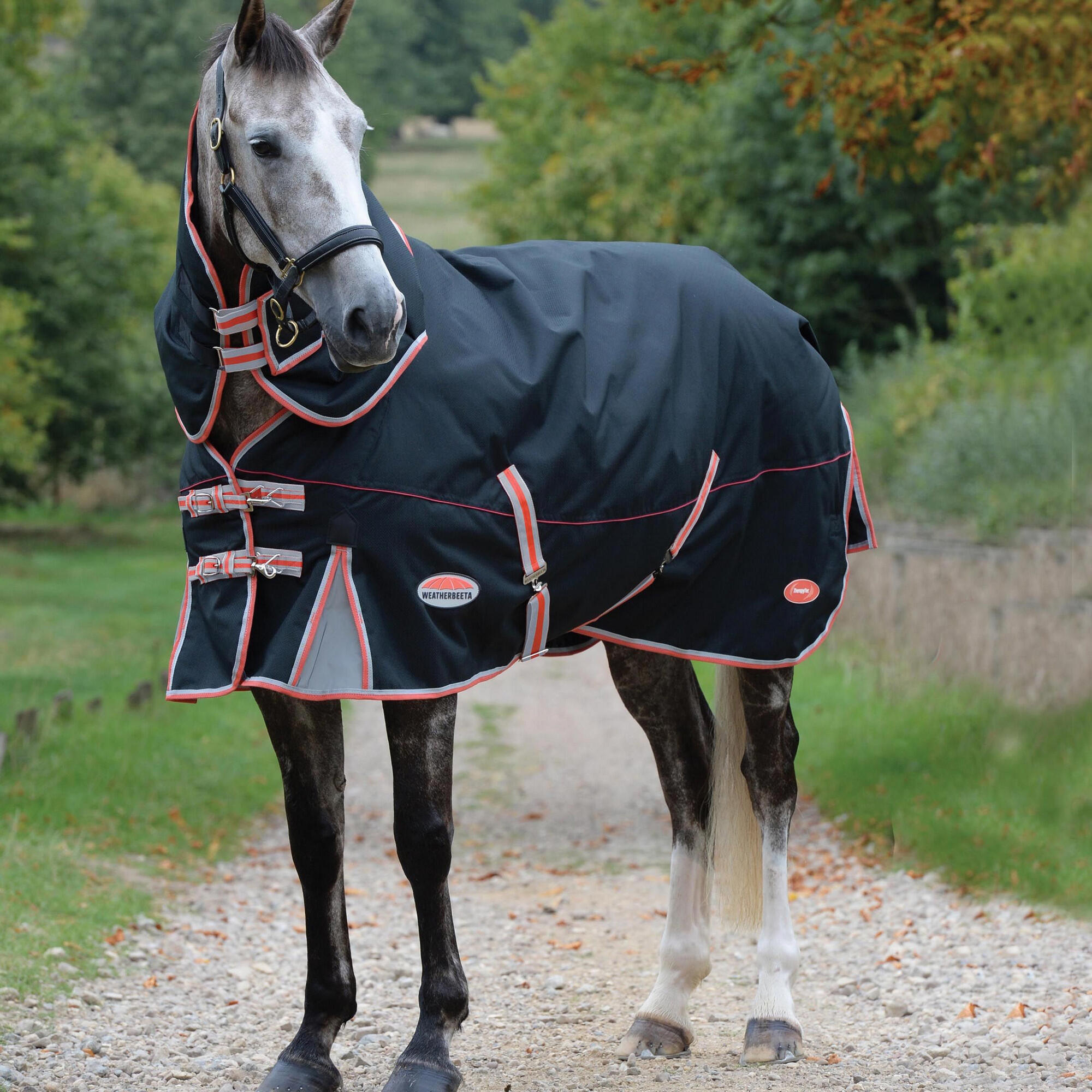 Horse blanket (black/grey/red)