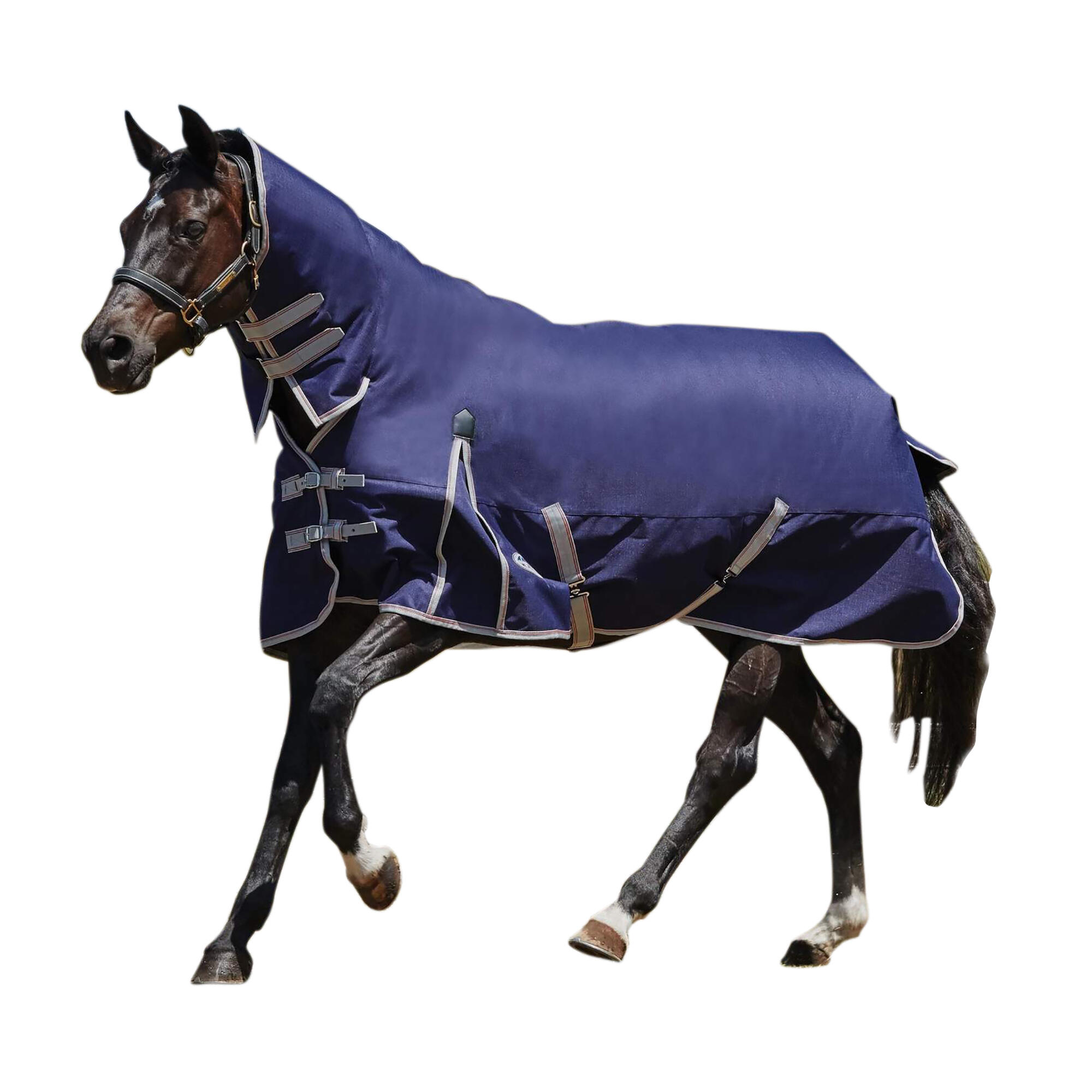 WEATHERBEETA Comfitec Lite Essential Combo Neck Turnout Rug (Navy/Silver/Red)