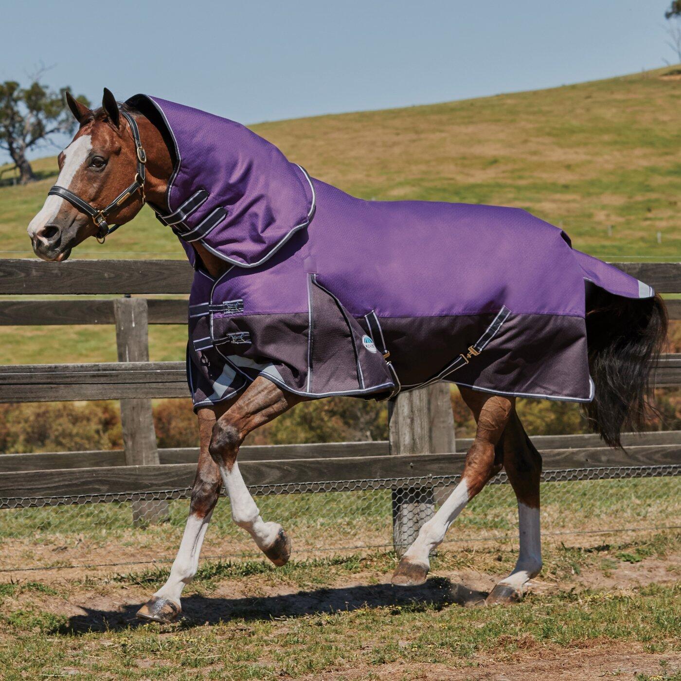 COMFITEC Coperta per cavalli (viola/nero)