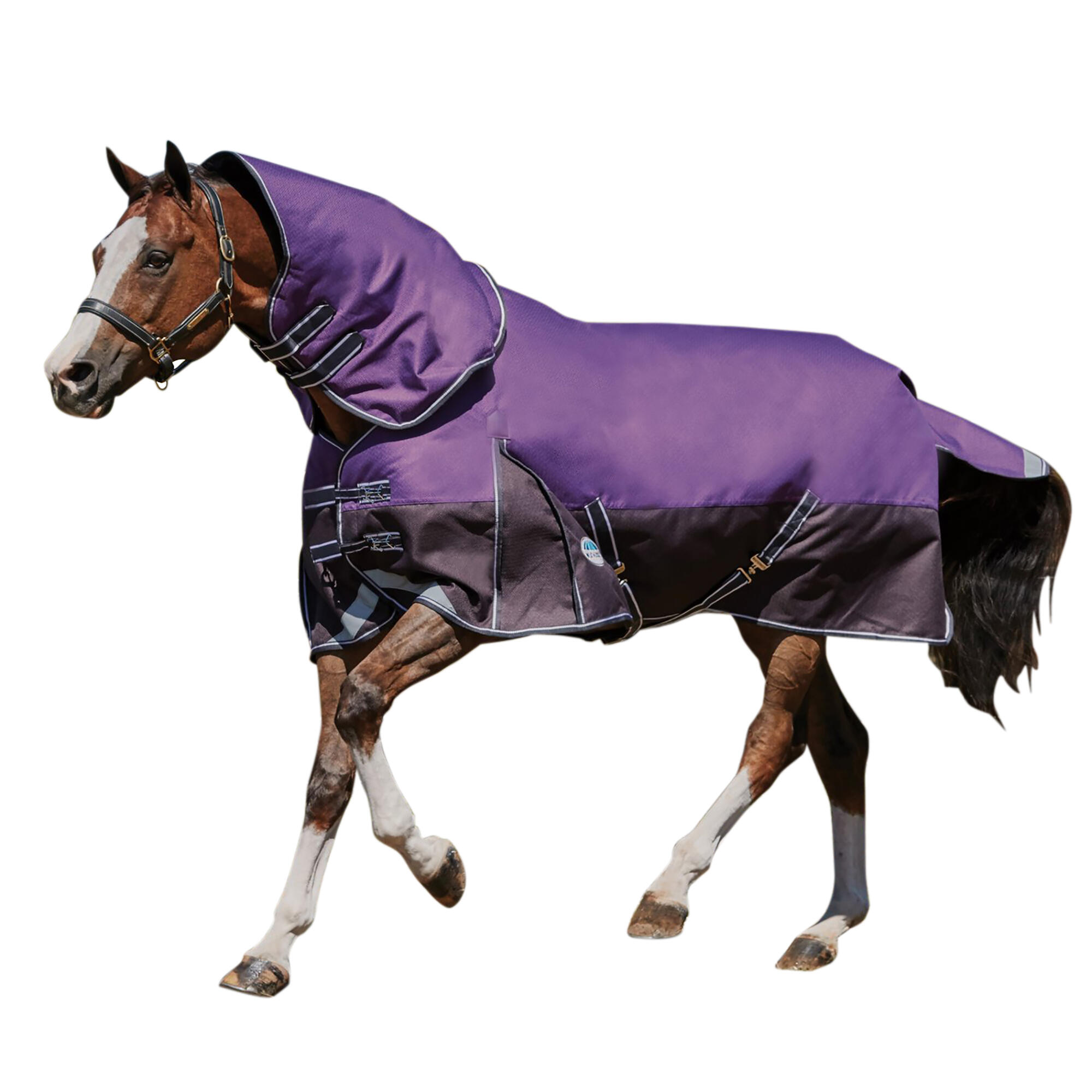 COMFITEC horse blanket (Violet / black)