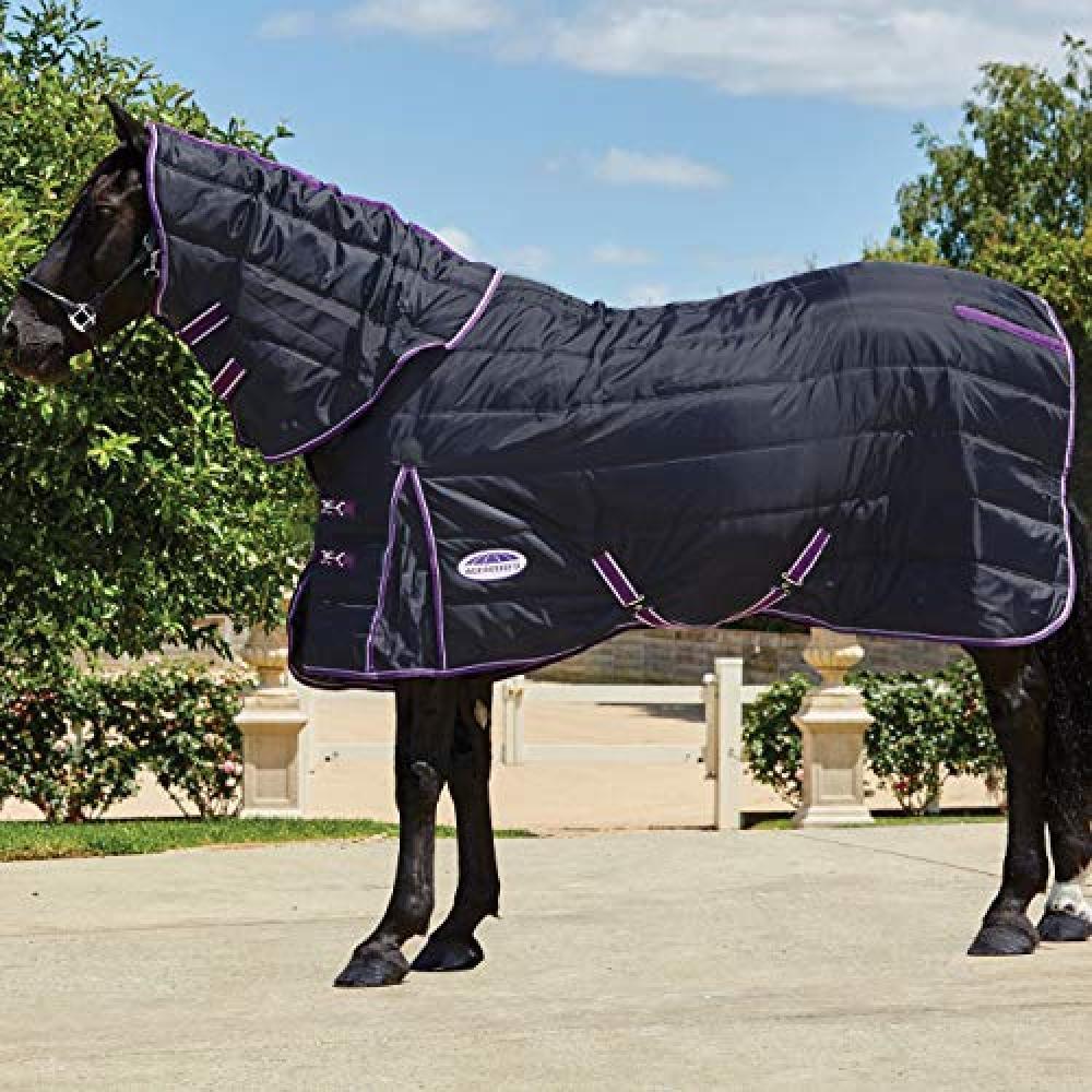 Comfitec Medium PP Channel Quilt Detachaneck Stable Rug (Black/Purple) 2/4