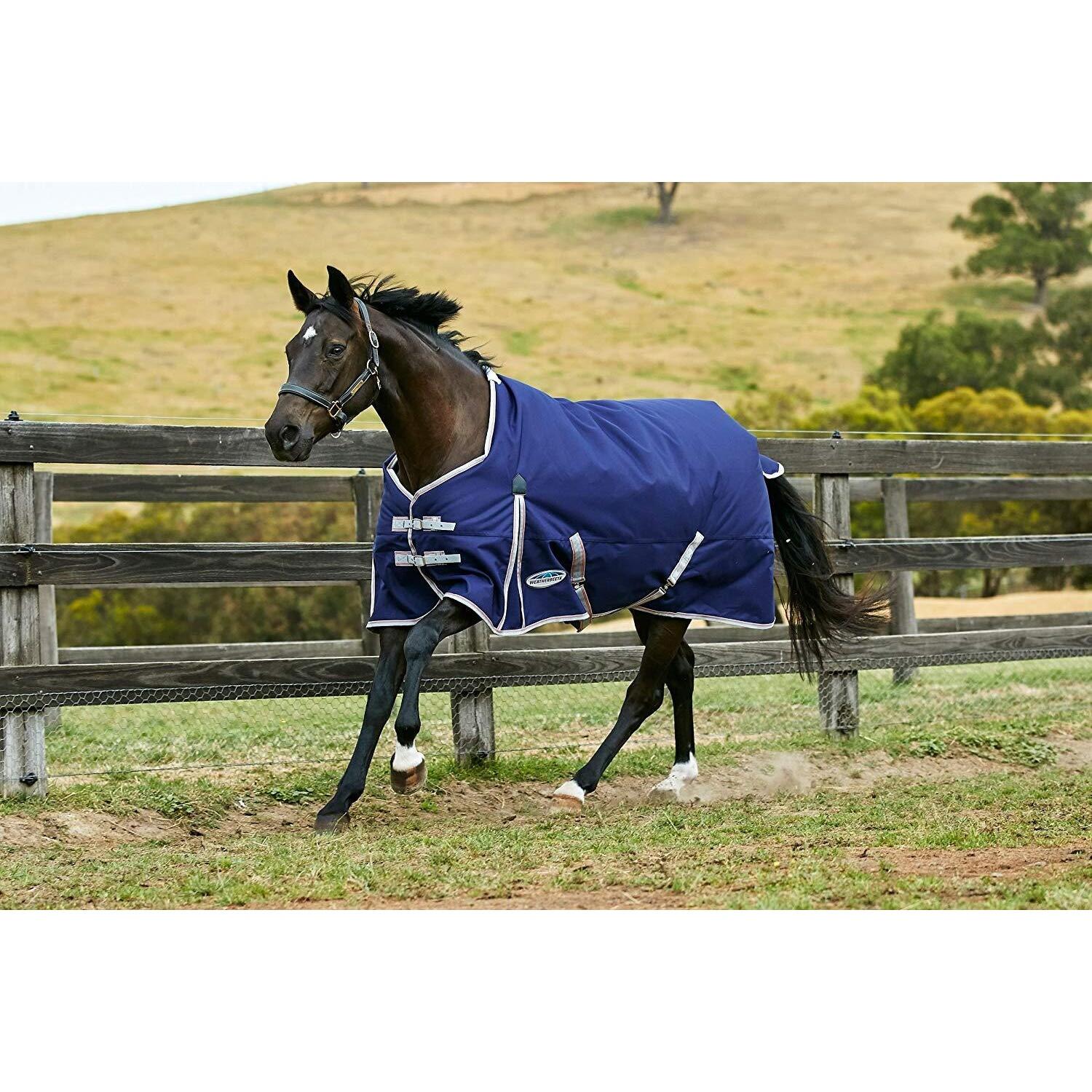 Comfitec Lite Essential Standard Neck Turnout Rug (Navy/Silver/Red) 2/4