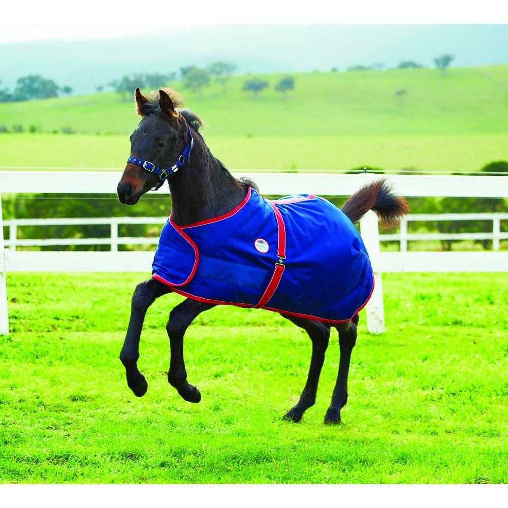 Horse blanket (navy blue / red / white)