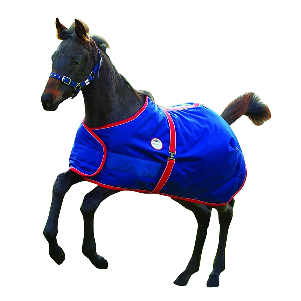 Horse blanket (navy blue / red / white)