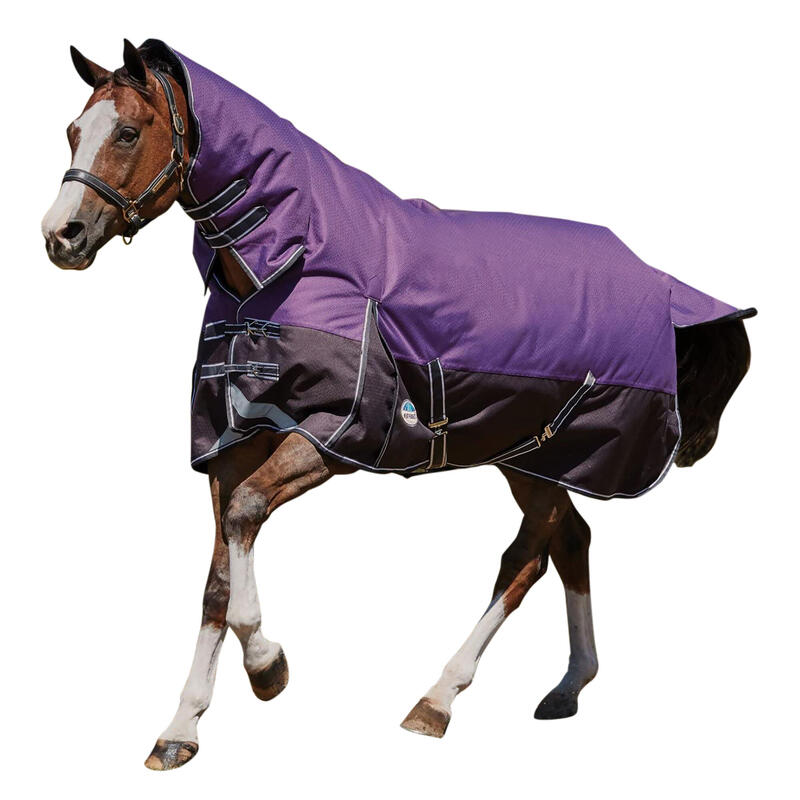 Couverture légère avec couvrecou COMFITEC PLUS DYNAMIC Cheval (Violet / noir)