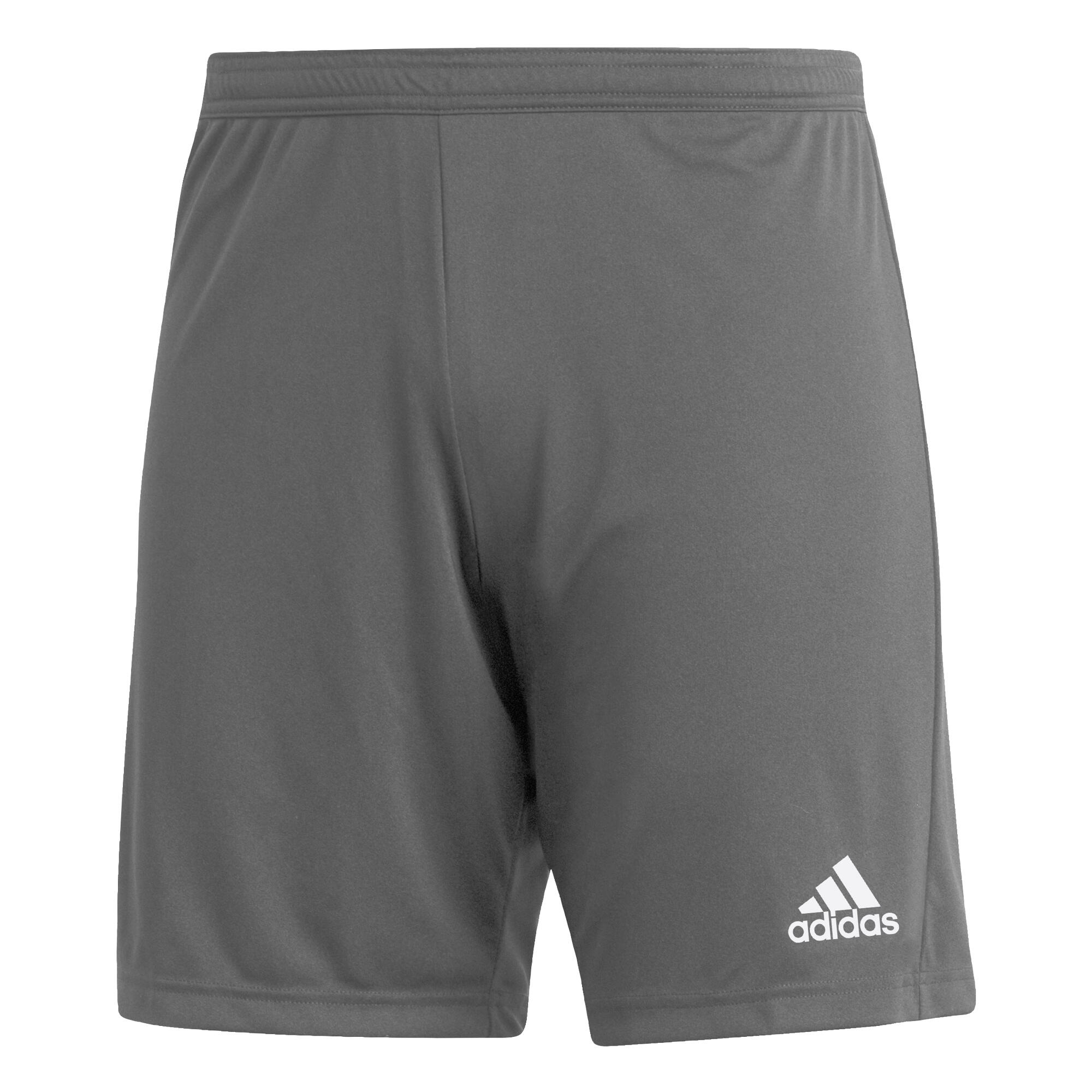 Short adidas Entrada 22 4/7