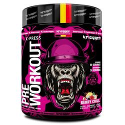 PRE WORKOUT Intensief en verfrissend BERRY CHILL 300 GR