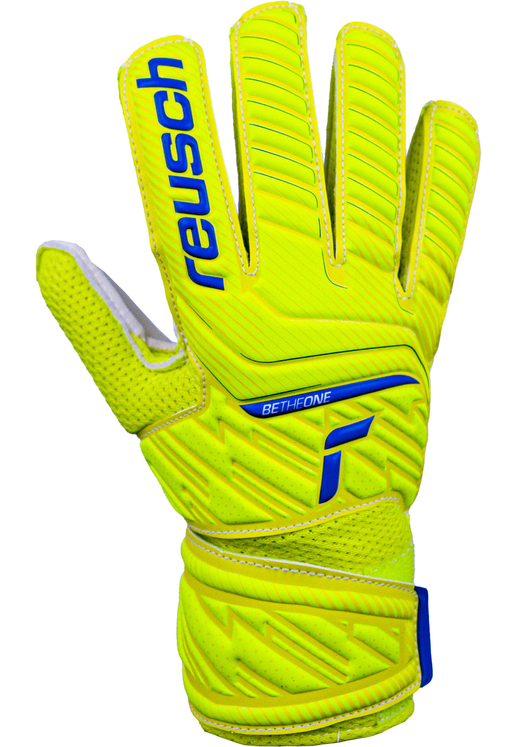 Gants de gardien de but Attrakt Solid Junior 2/5
