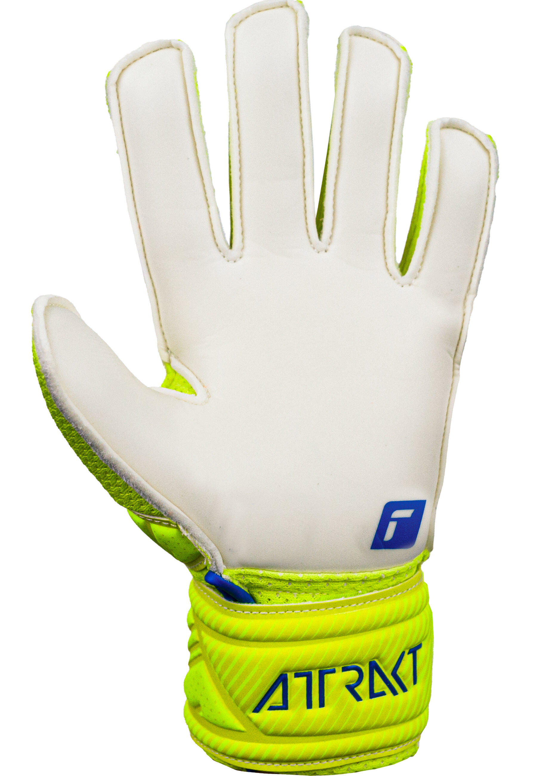 Gants de gardien de but Attrakt Solid Junior 3/5