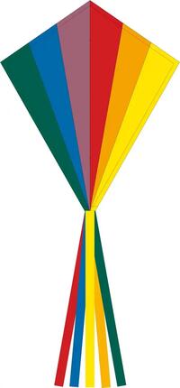 Cerfs-volant pour les enfants Eco Line Eddy Rainbow 70 cm R2F