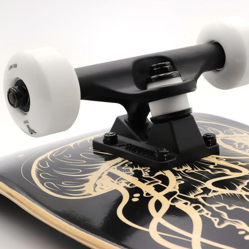 Skateboard Complet Trigger Medusa 7.75"