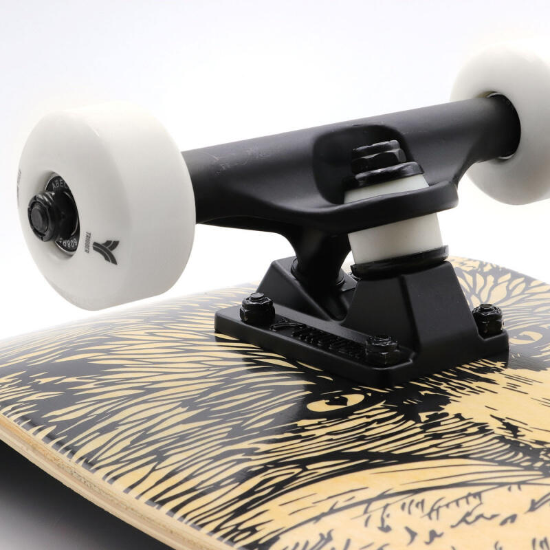 Skateboard Complet Trigger Fox 8.125"