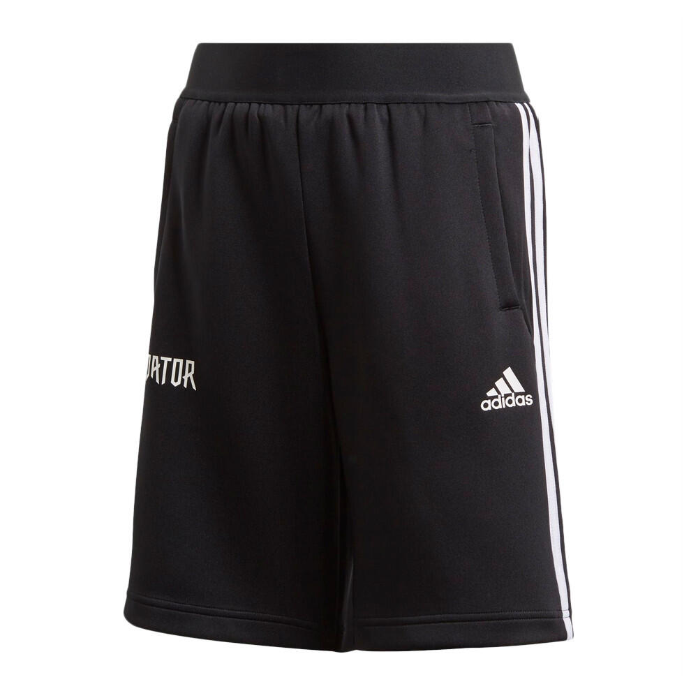 ADIDAS picture