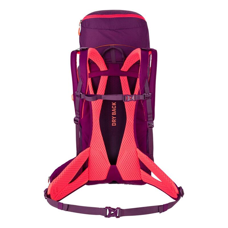 Alp Trainer Women's Hiking Backpack 30+3L  - Dark Purple Uni