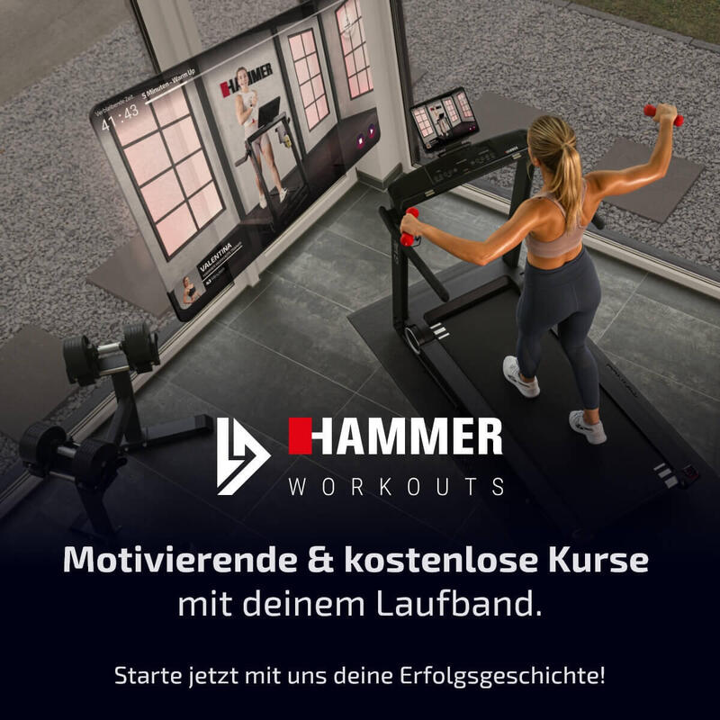 HAMMER Laufband Q. Vadis 7.0