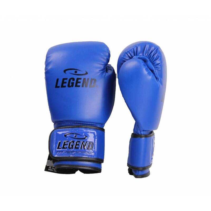 Gants de boxe Powerfit & Protect Homme/Femme Bleu PU