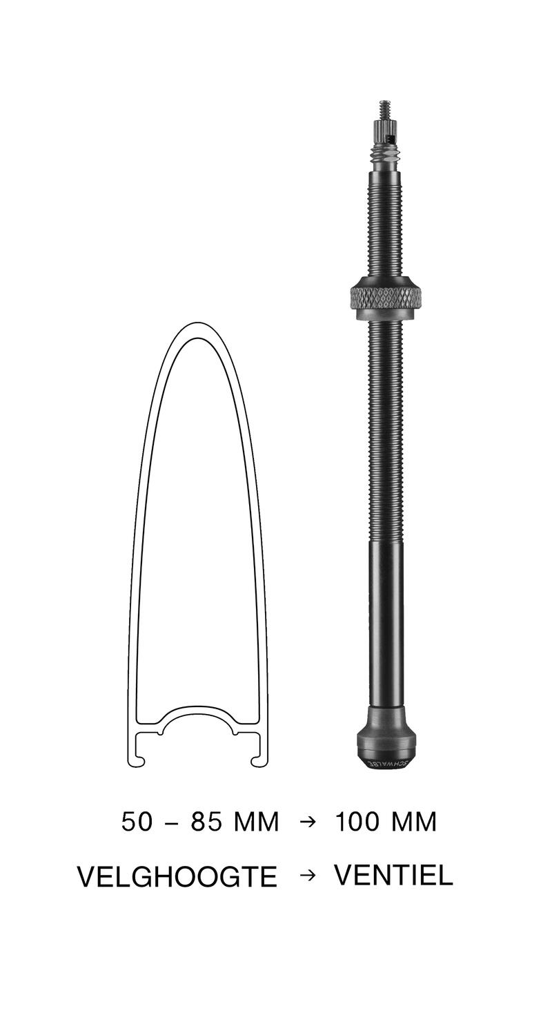 Tubeless Ventiel 100Mm (2 Stuks)