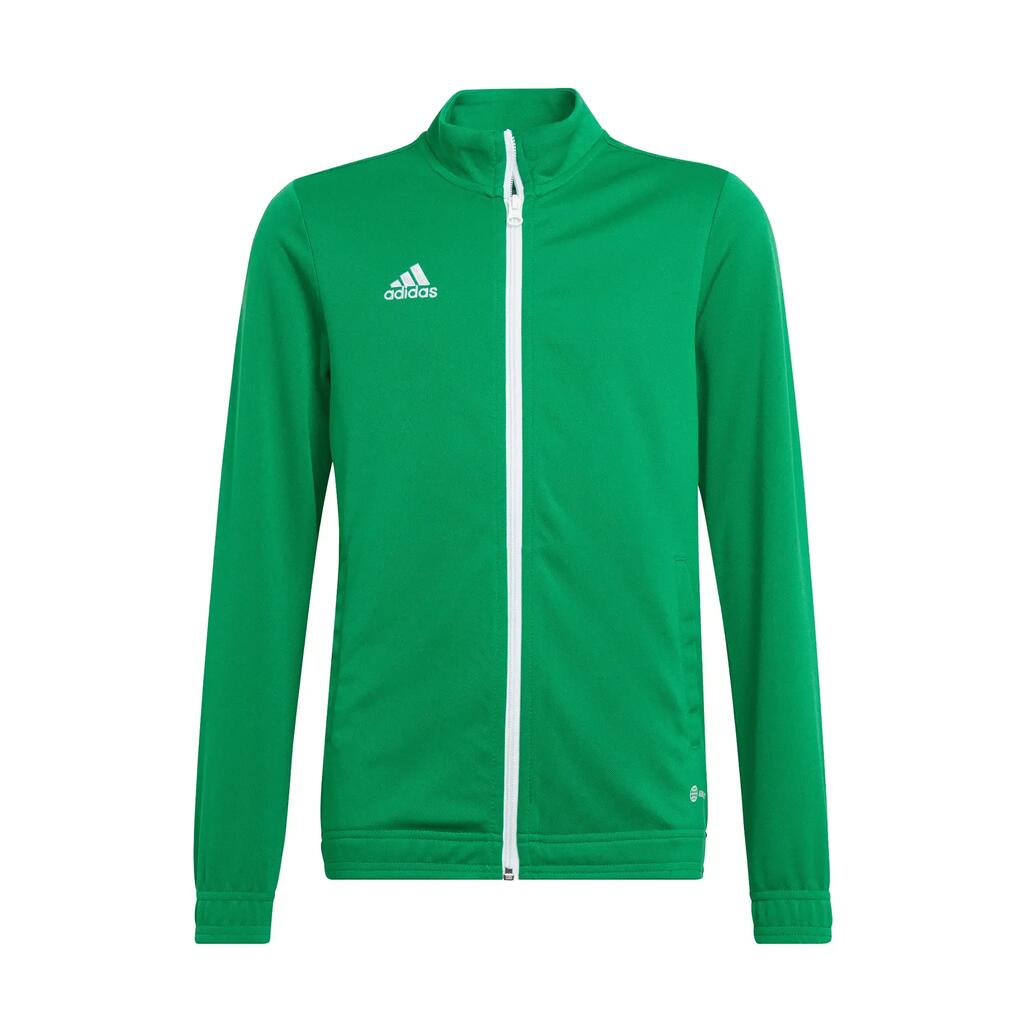 GREEN / WHITE