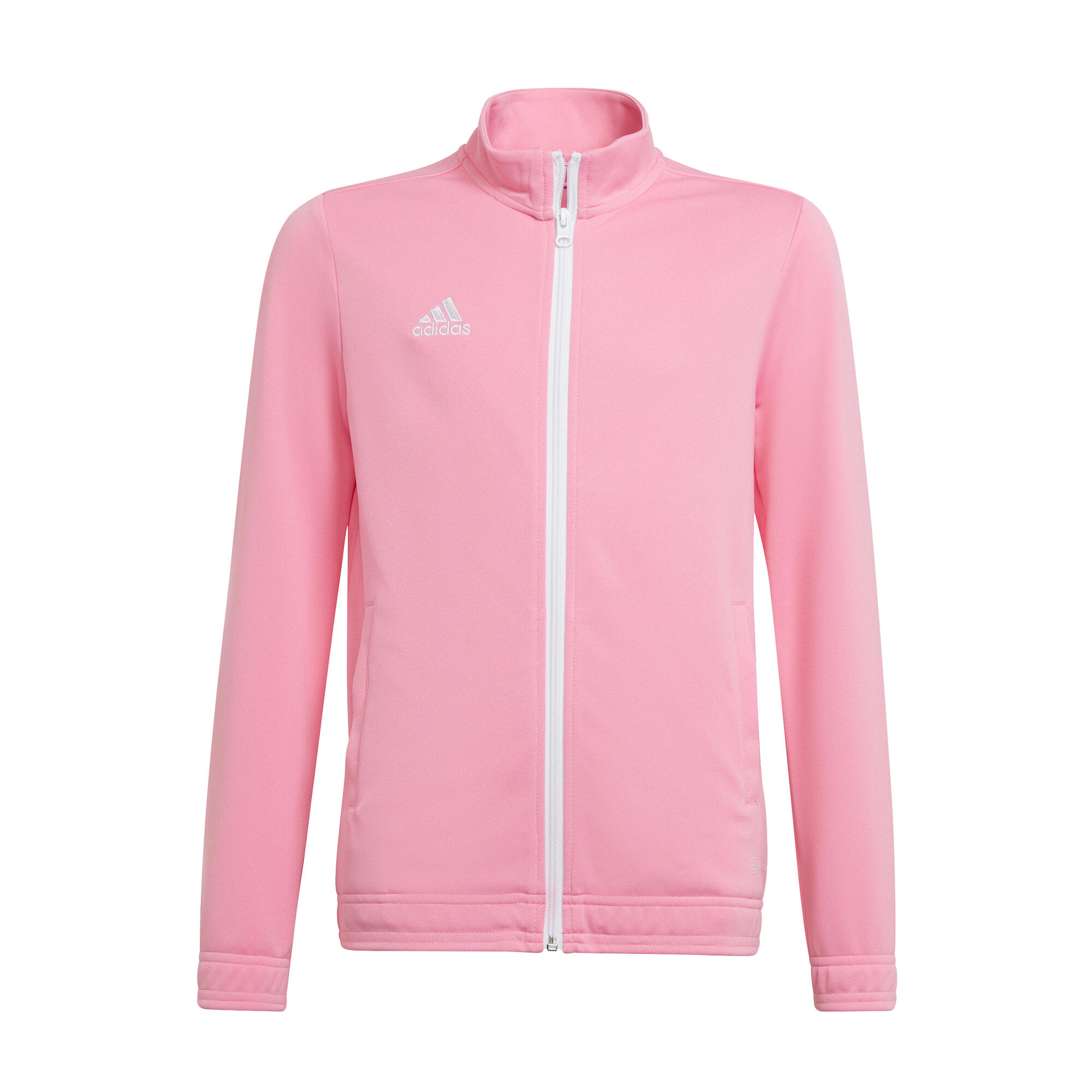 Roze / Roze / Roze