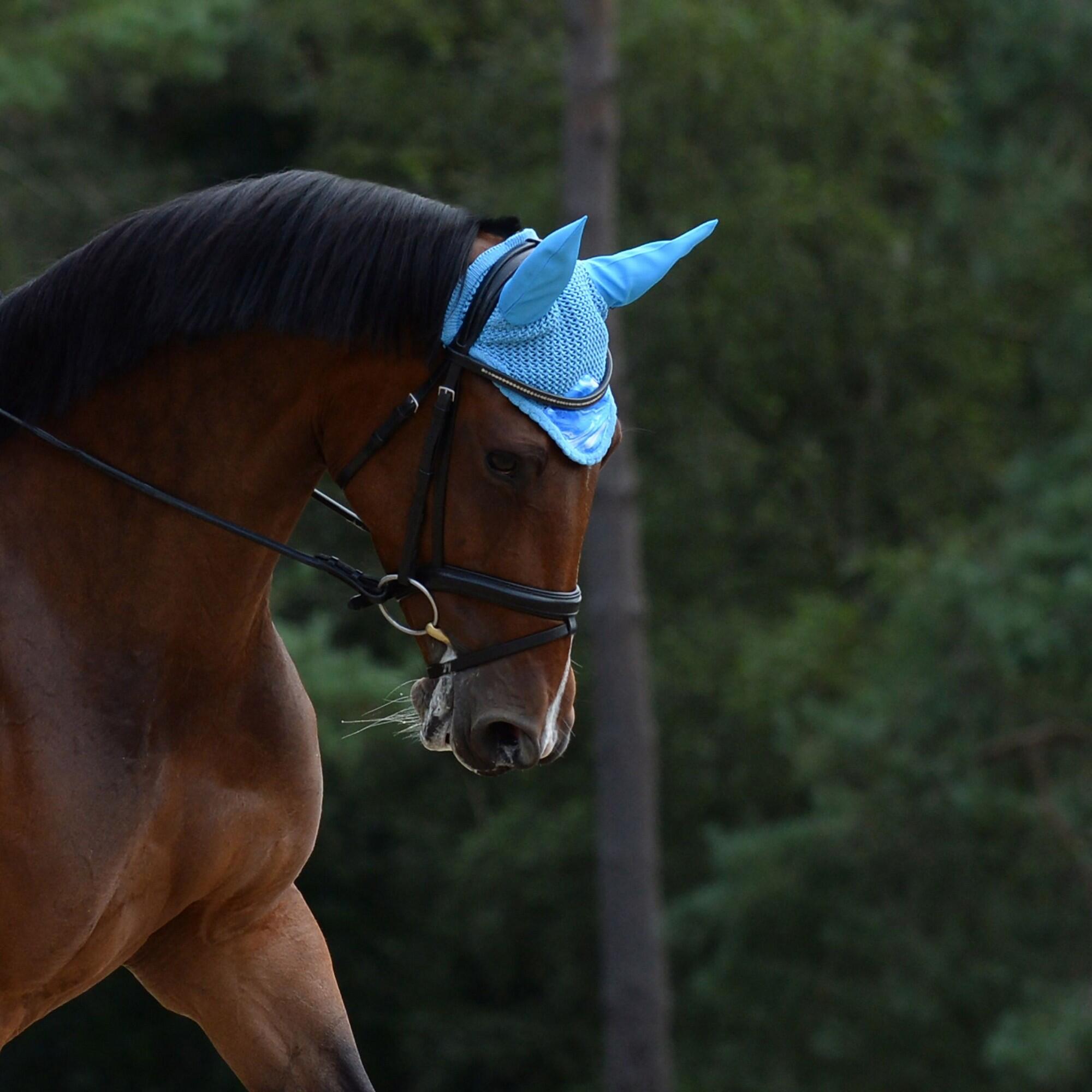 Prime Marble Horse Ear Bonnet (Blue) 2/3