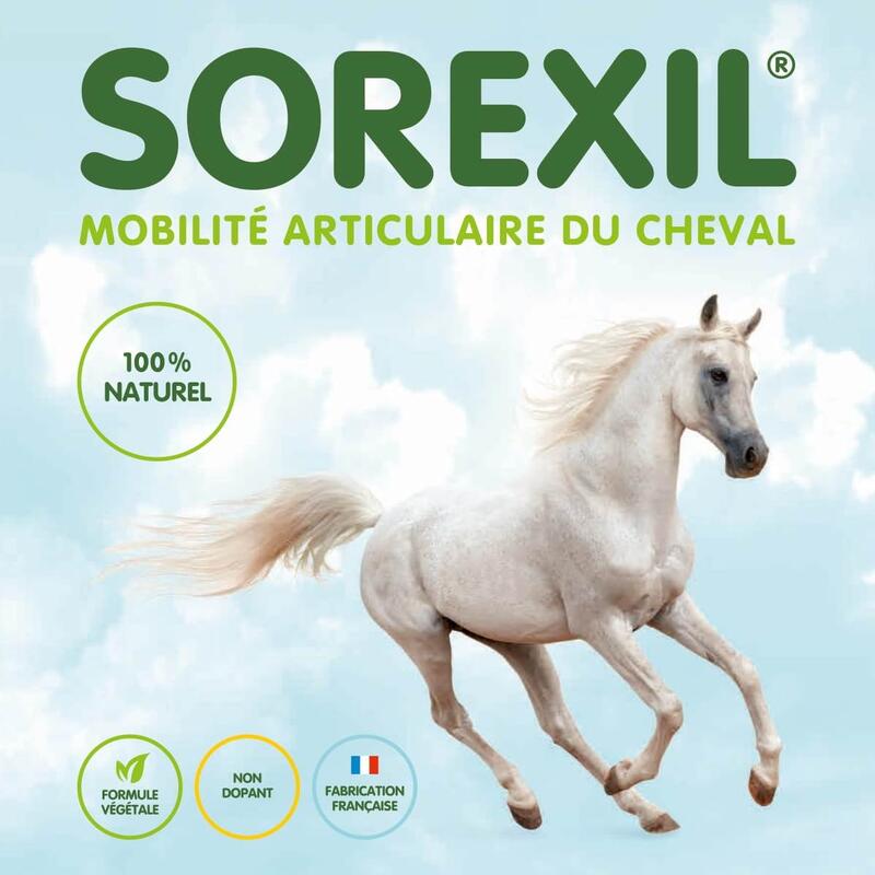 SOREXIL aliment complémentaire à base de plantes pour chevaux