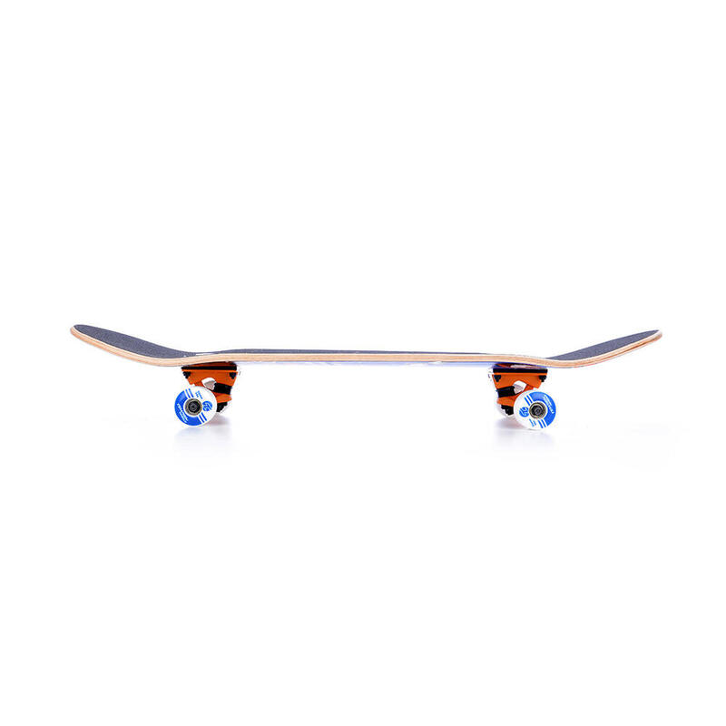 EXPLORATE skateboard