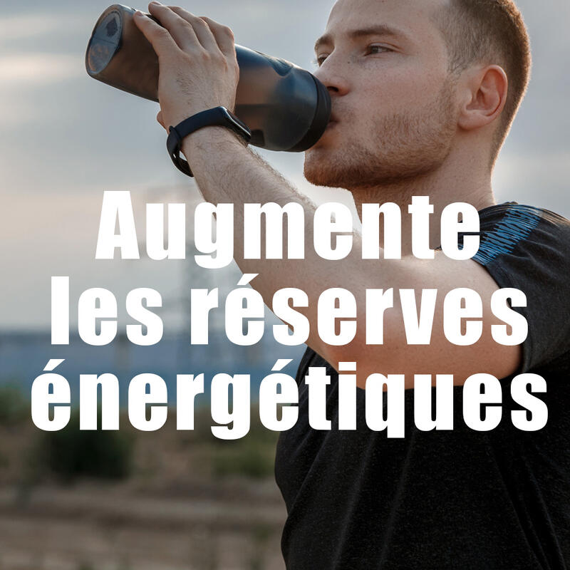 Boisson Recharge énergétique - Malto Antioxydant Thé pêche - 450g