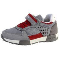 Basket Geox Enfant Garçons Alfier Suede - Enfant