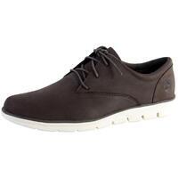 Basket Timberland Bradstreet Oxford