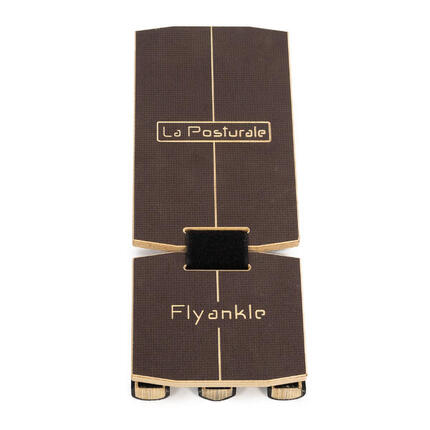 FLYANKLE – Dispositif de rééducation et d'entraînement pour pieds et jambes