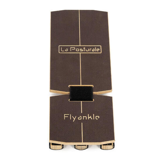 FLYANKLE – Dispositif de rééducation et d'entraînement pour pieds et jambes