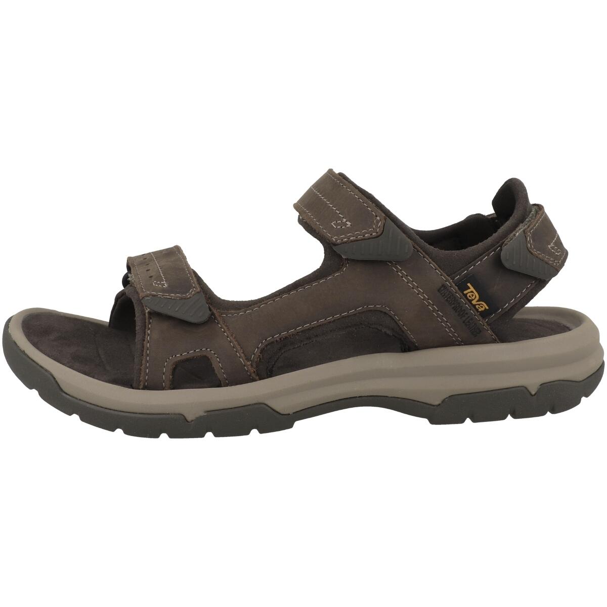 TEVA picture