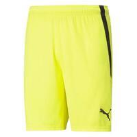 Short Puma teamLIGA