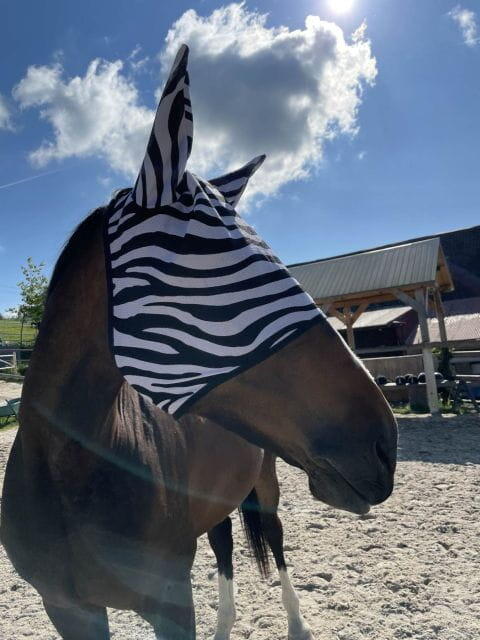 Masque anti-mouche équitation Zebra 2/3